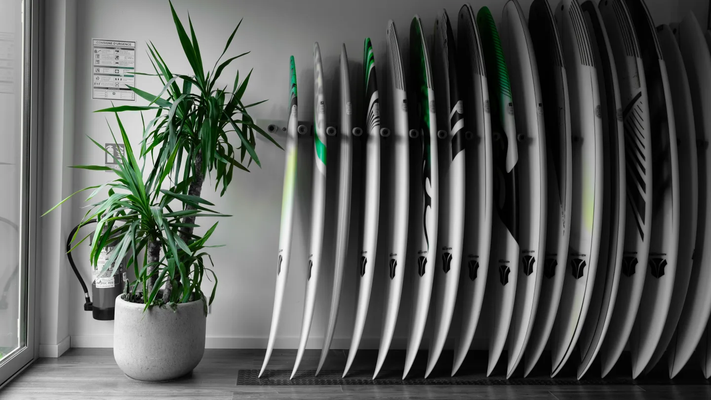 Intérieur du showroom : planches de surf colorées alignées avec plante verte